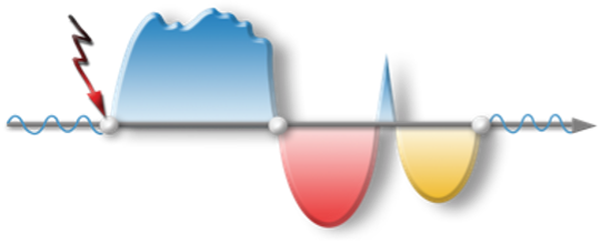 BioLogisches Heilwissen