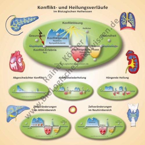 plakat-konfliktverlaeufe-02_10_2012_-mit-organe-wz-mailklein