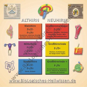 tabelle-biologisches-heilwissen-druck-02_10_2012-fuer-internet-mit-wz-mailklein